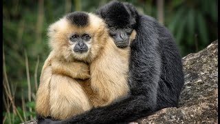 Short Clip from I Need the Beauty of You Music Video