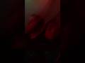 Marham Priyanshu Bhartiya Prakriti Pandey BAD Junkie Trending Indiemusic Remix