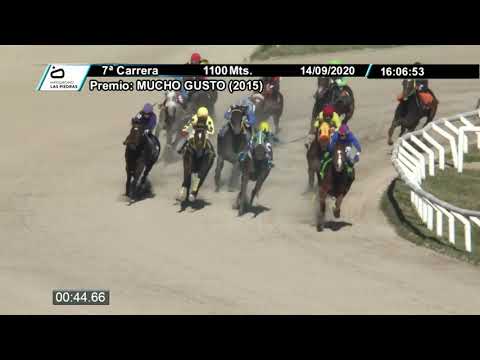 LP 200914 c07 - JAMAIKINA 1°