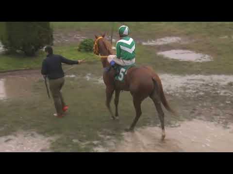 CARRERAS SINT PAYSANDU-220901 c09- 1° AFRICANUS