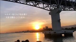 【フィリピン・セブ島】美しい夕日を見ながらのクルージング！ワイン・ビールも飲み放題！
