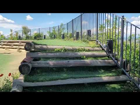 Alice Bel Colle , You are real from the watch tower here The feeling of seeing nature