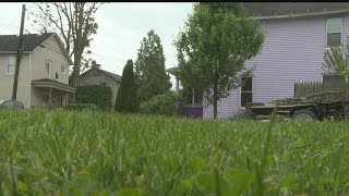 Lots to Love program gives empty lots in Sharon a chance at revival