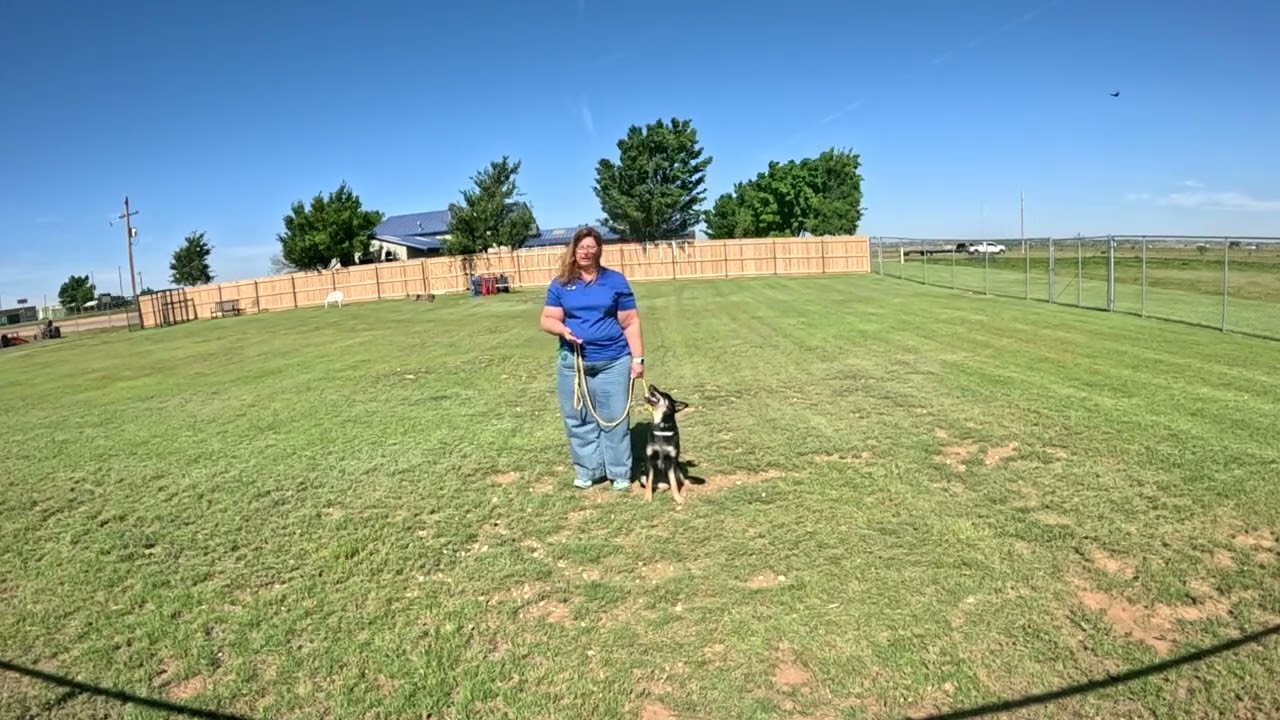 Bubble's Day One/Week One Training