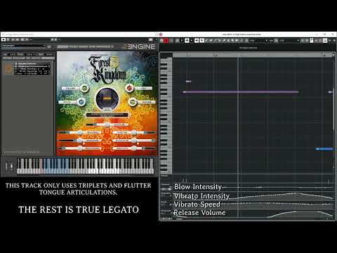 Forest Kingdom 3 - Solitary Bird by Eduardo Tarilonte