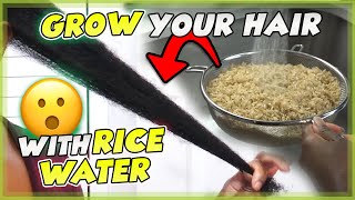 How to make RICE WATER for FAST HAIR GROWTH – Science Explained