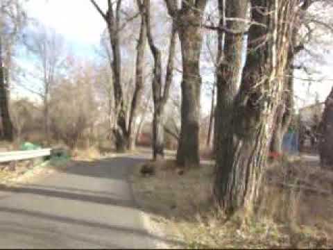 Broken Social Scene Present: Kevin Drew - Safety Bricks