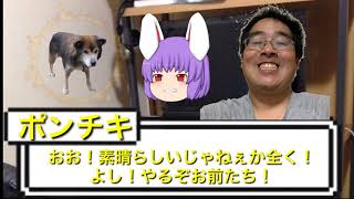 ポンチキのTRPG