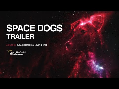 Thumbnail of the video: SPACE DOGS | Teaser | Trailer | a film by Elsa Kremser & Levin Peter (2019)
