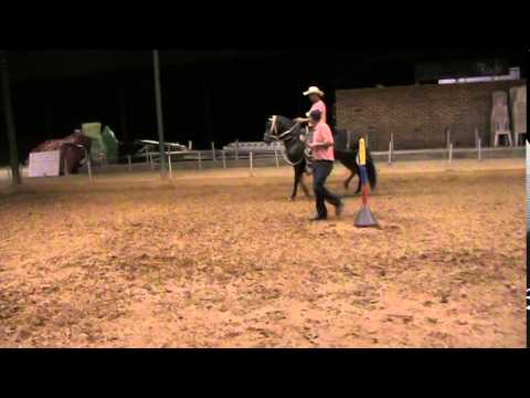 Poeta de la Querencia (Prestigio de la Q. por Poetiza