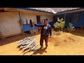 SUASANA PAGI BIKIN BETAH BIKIN NGAKAK BELAH DUREN BARENG KANG UCUY CIHUY HAMPIR TERTIMPA DUREN