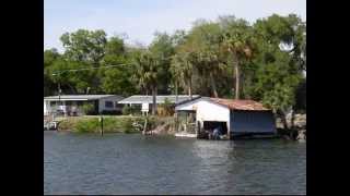 preview picture of video 'Along the Little Manatee River, Ruskin Florida'