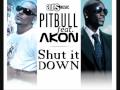 Pitbull (ft. Akon) - Shut It Down 
