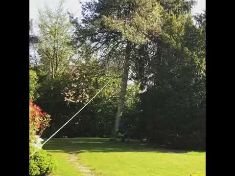 BRW Tree Specialists  video.