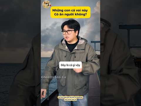 Cá voi này có ăn người không? #giaitri