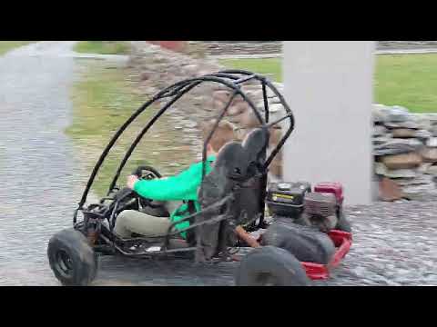 200cc quadzilla mini junior beach buggy