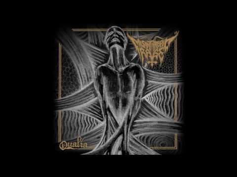 Misanthropic Rage - Qualia