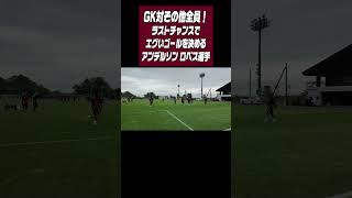 Download lagu 新加入アンデルソンロペス選手のエグいシュートで大盛り上がり　#ヴィッセル神戸 mp3