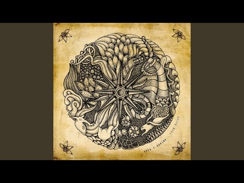 Y Contarte Esto - Fran Busso