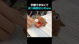 予想できなくて笑える瞬間まとめWWW #おもしろ #すごい #かわいい #fyp #funny