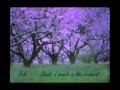 Eels  -  Dusk: a peach in the orchard