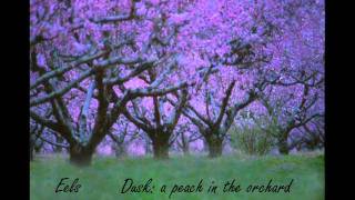 Eels  -  Dusk: a peach in the orchard