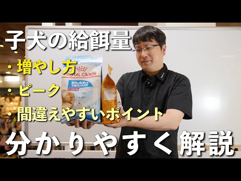 子犬は大型のドッグフードを食べても大丈夫ですか?