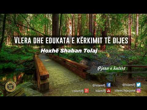 Vlera dhe edukata e kërkimit të dijes (Pjesa e katërt) - Shaban Tolaj