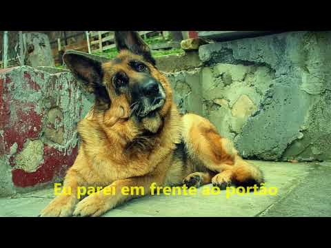 O Portão - Pierre Braga