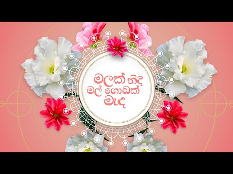 Wayo | Malak Nidi Mal Godak Meda(මලක් නිදි මල් ගොඩක් මැද) | Official Lyric Video