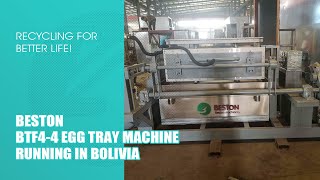 BTF4-4 Egg Tray Making Machine in Bolivia