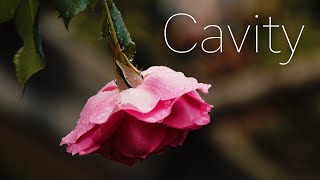 - Cavity - M.ZUIKO DIGITAL ED 12-100mm F4.0 IS PRO BMPCC4K
