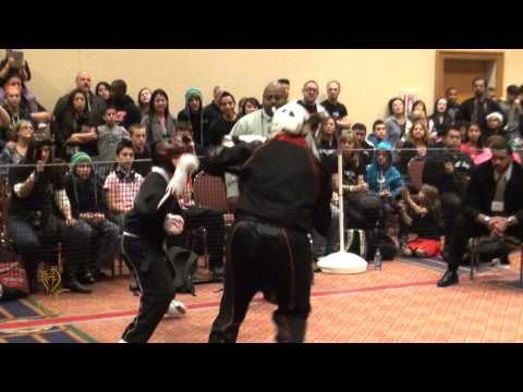 New York's National Sport Karate Team Empire Up Close