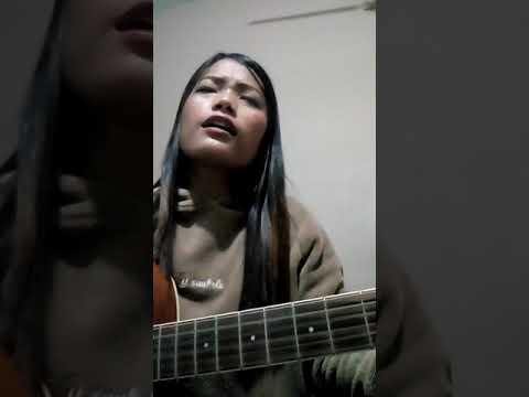 hi khawvel Damlai thlaler