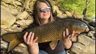 James River CARP FISHING!!! (First Time!)