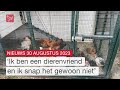 Kippen gedumpt bij kinderboerderij en een jaar na de stroomstoring | Dit is Flevoland