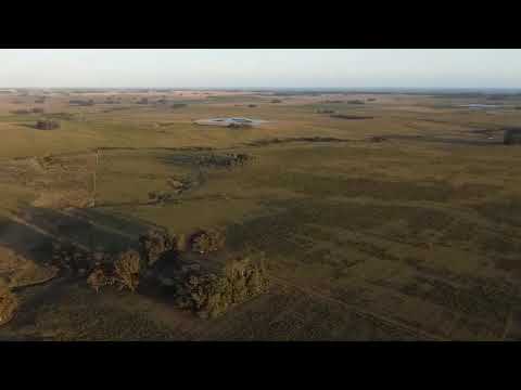 169 hectáreas de campo agrícola ganadero Garzón Abajo, Rocha, Uruguay