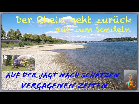 Der Rein überrascht immer wieder mit schönen Funden