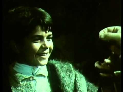 "Partizani Velo" sot - Vizion Plus - News - Lajme