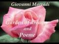 GIOVANNI MARRADI - Garden of dreams and ...