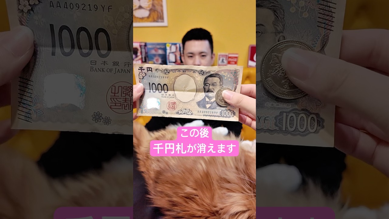 【お札】テーブルクロス引きの天才かもしれない【浮遊】　#magic #tricks