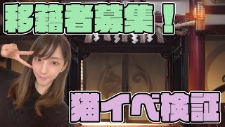 【獅子の如く】まみくえ移籍者募集&猫イベ訪問武将の命魂何連で310個いくか検証【PR】