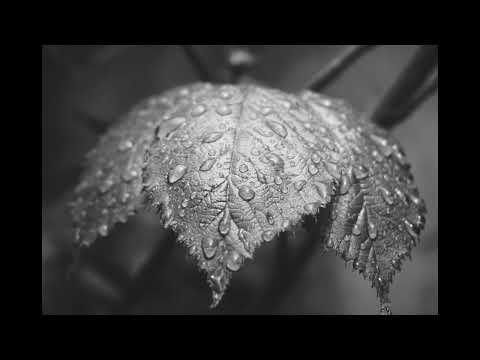 Chagrin de Daniel Hellbach