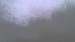 preview picture of video 'UFO caught on camera in a small ghost town near Guanajuato, Mexico'