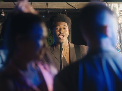 Black Hibiscus - MORE THAN FRIENDS