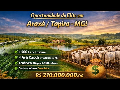 Fazenda à Venda em Araxá MG | 2.300 Hectares | Dupla Aptidão e Alta Produtividade