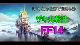 底辺youtuberがMMORPGに転生してしまった件