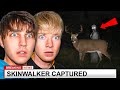 Terrifying Skinwalkers Disguised As Animals