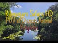 Kilimanjaro Safaris At Disney S Animal Kingdom