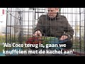 Marcel wacht hele dag in de kou op vermiste papegaai | RTV Utrecht